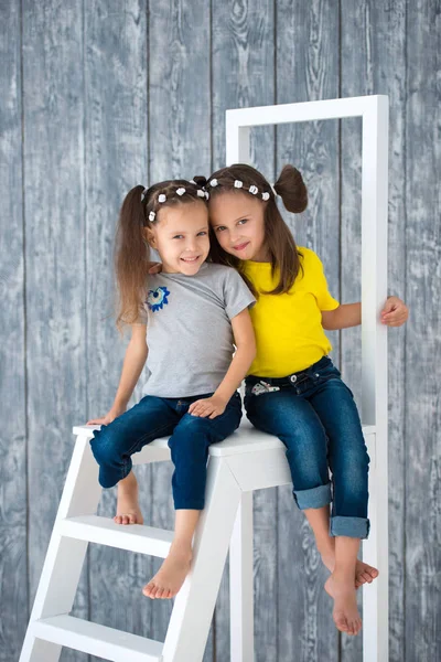 Two Pretty Cheerful Girls Sisters Jeans Sitting Stepladder Front Wooden — Stock Photo, Image