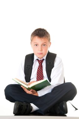 Çalışkan bir çocuk bir kitap okur ve sınavlar ve testler için hazırlar. Liseli genç bir okul üniforması giymiş. İzole beyaz arka plan
