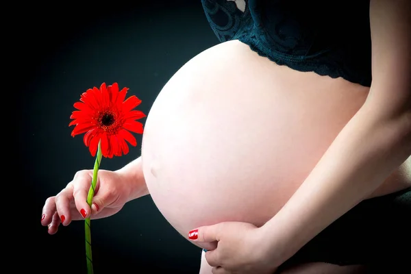 Close-up de uma barriga grávida com uma flor de gerbera vermelha em um fundo preto — Fotografia de Stock