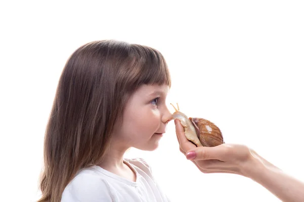 Attraktives kleines Mädchen hält eine Akhatina-Schnecke. isoliert auf weißem Hintergrund. Nahaufnahme. Konzept der Jugend- und Schönheitshaut, Gesichtsverjüngung — Stockfoto