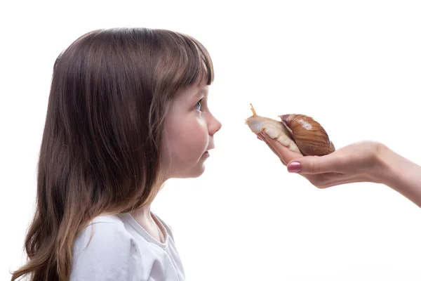 Attraktives kleines Mädchen hält eine Akhatina-Schnecke. isoliert auf weißem Hintergrund. Nahaufnahme. Konzept der Jugend- und Schönheitshaut, Gesichtsverjüngung — Stockfoto