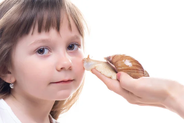 Attraktives kleines Mädchen hält eine Akhatina-Schnecke. isoliert auf weißem Hintergrund. Nahaufnahme. Konzept der Jugend- und Schönheitshaut, Gesichtsverjüngung — Stockfoto