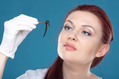Kadın doktoru tıbbi sülükler cımbız tutar. Hirudotherapy, Hirudo medicinalis. Alternatif Tıp, kan verme ve vücudun gençleştirme