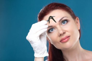 Kadın doktoru tıbbi sülükler cımbız tutar. Hirudotherapy, Hirudo medicinalis. Alternatif Tıp, kan verme ve vücudun gençleştirme