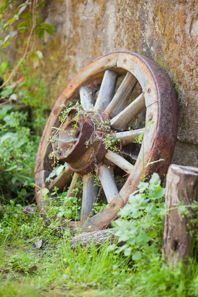 Old Wooden Vintage Wheel Cart Stands Grass — Stock Photo, Image