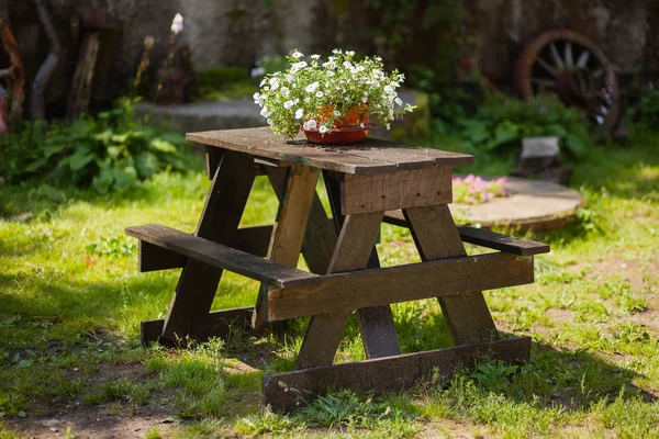 Wooden Table Flower Pot Garden House — Stock Photo, Image