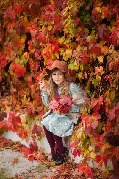 ヴィンテージのドレスや秋の庭 赤い葉の壁 葉の背景の帽子で美しい少女 — ストック写真