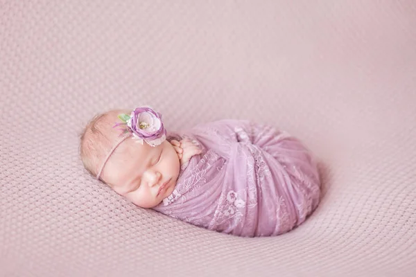 Bebê Recém Nascido Menina Casulo Dorme Fundo Rosa Sonhos Recém — Fotografia de Stock