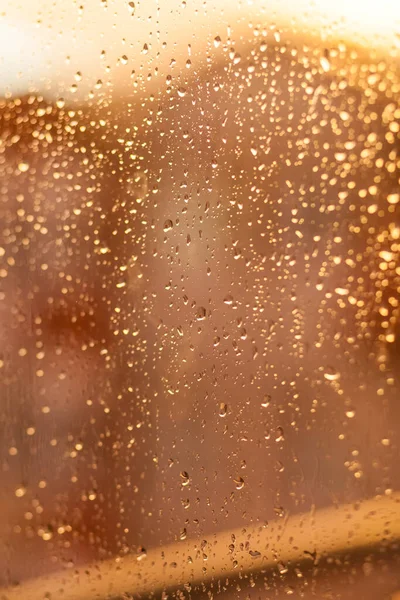 transparent drops of rain on the window in the rays of the sunset