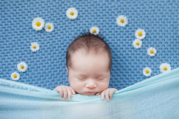 Petit Nouveau Couvert Une Couverture Bleue Dort Des Marguerites Blanches — Photo