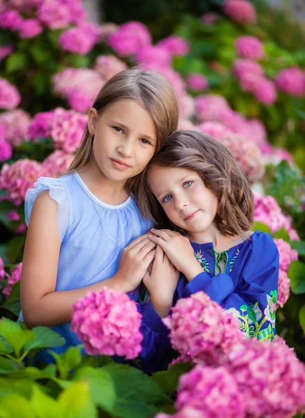 2人の女の子の友人ピンクアジサイの庭の青いドレスの2人の姉妹小さな女の子は手に花を持って抱擁笑い — ストック写真