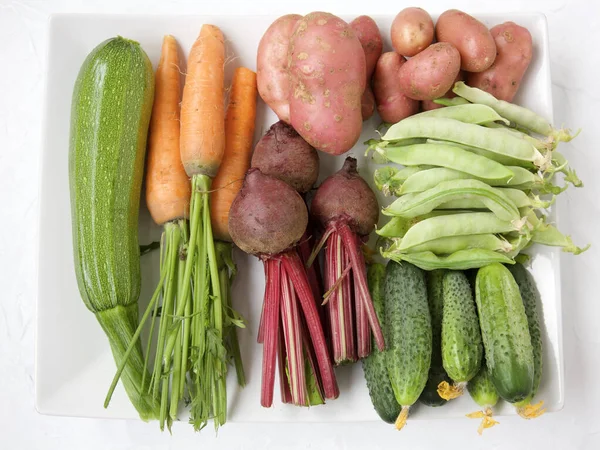 Colheita Verão Mais Fresca Legumes Sazonais — Fotografia de Stock