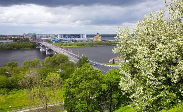 Vista Primavera Nizhny Novgorod Árboles Con Flores — Foto de Stock