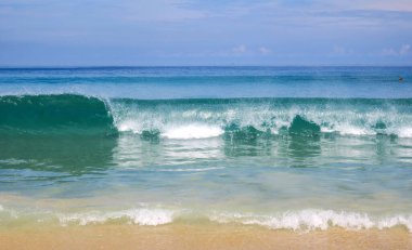 Phuket, Tayland 'daki Karon Sahili' nde uçan kelebek.