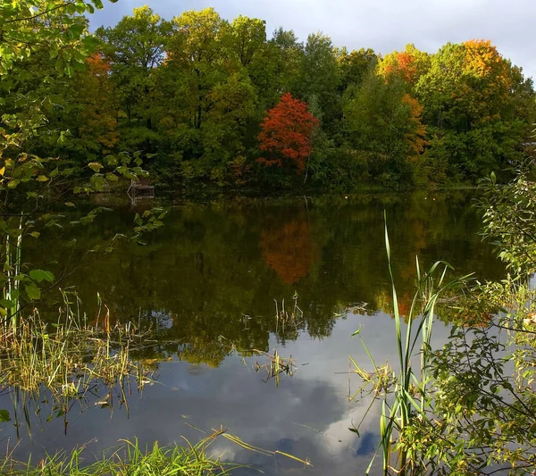 Закат Осеннем Парке Красочными Деревьями Отражением Неба Воде — стоковое фото