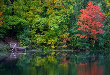 Sonbaharın başlarında göl kenarındaki renkli ağaçlar
