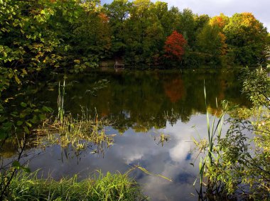 Sonbahar ağaçları ve gökyüzünün yansımasıyla gölde güneşli bir gün batımı.