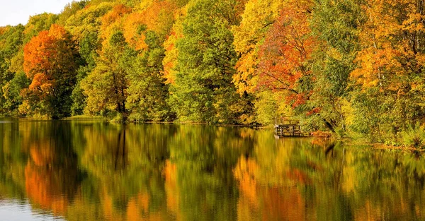 Vackert Morgonlandskap Höstpark Med Pittoreska Träd Vid Sjön — Stockfoto