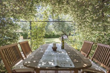 Bahçe yasemin çiçekleri ile çevrili