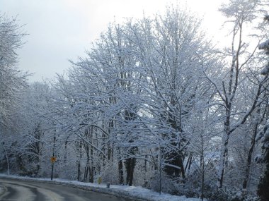 Kış Kar manzarası 2019