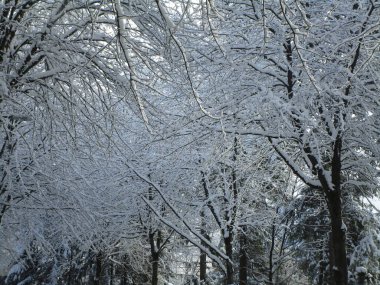 Kış Kar manzarası 2019