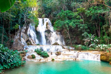 Kuang Si şelalesi, Lungprabang Lao 'nun en popüler turistik yeridir.