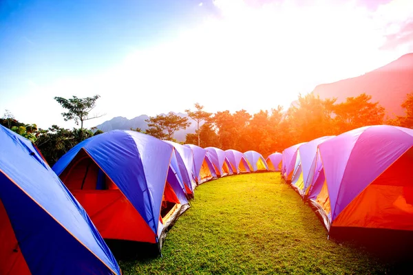 Las Coloridas Tiendas Campaña Claro Amanecer Parque Nacional Cerca Montaña — Foto de Stock