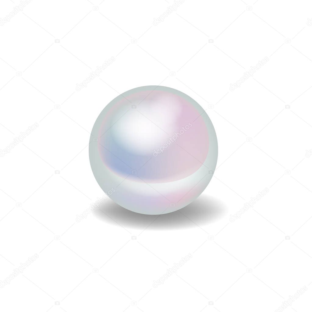 Realistic vector white pearl 
