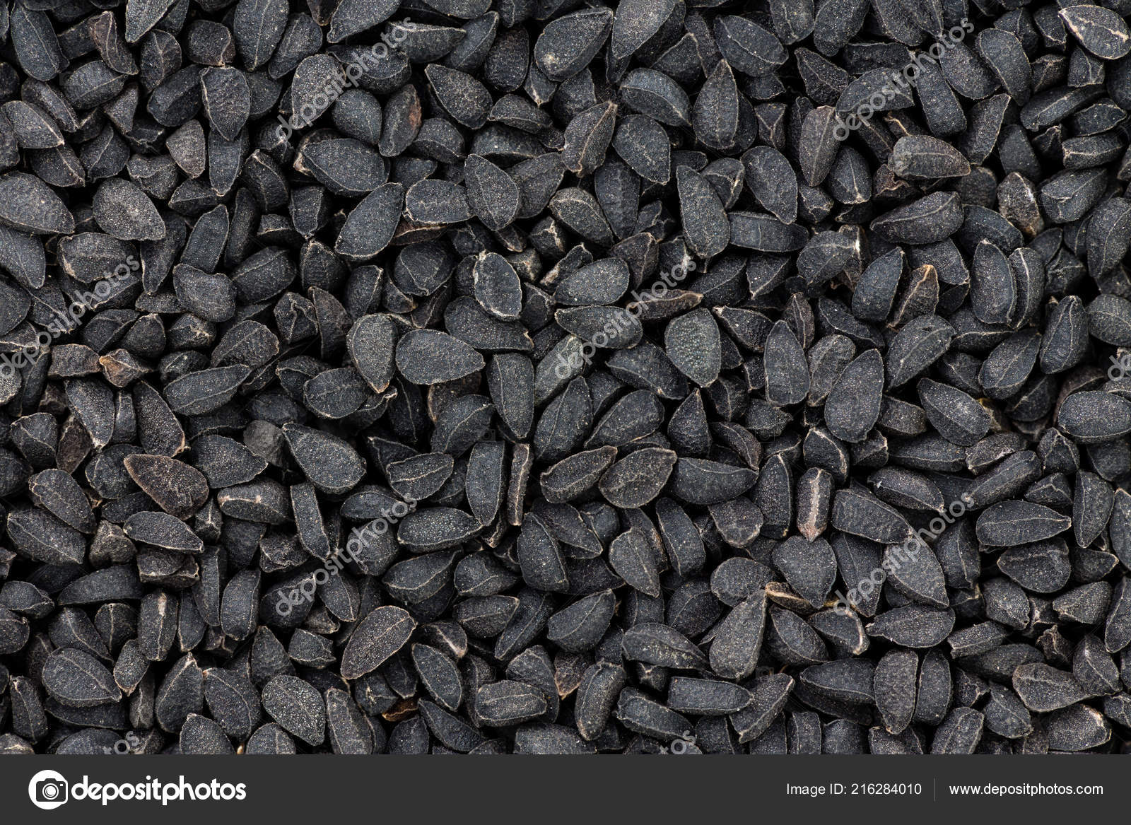 Close Texture Black Seeds Nigella Also Known Kalonji Ancient Spice Stock Photo By C Oocoskun
