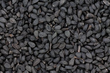 Doku siyah tohumu veya çörek otu olarak da bilinen kalonji, onun keskin tat ve tıbbi nitelikleri için bilinen Hindistan antik bir baharat kadar kapatın
