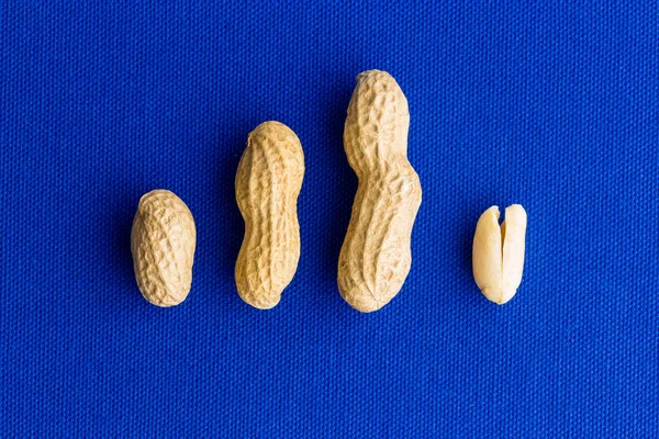 Evolution Style Image Various Peanut Husks Kernel Blue Fabric Background — Stock Photo, Image