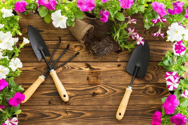 Tuingereedschap Een Houten Tafel Met Een Lente Bloemen Van Wit — Stockfoto