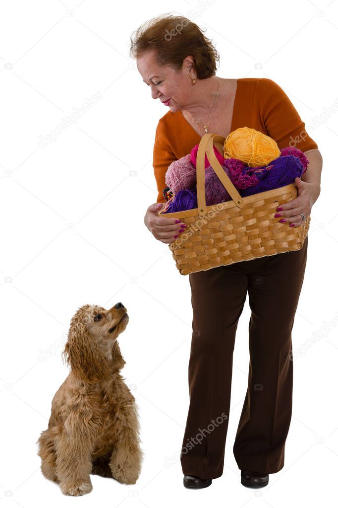 Elderly woman with a basket of colorful balls of knitting wool and her dog bending down to look at the cocker spaniel who in turn is looking up at her