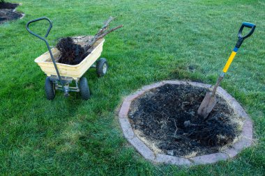 Küçük bir ölü ağaç dairesel bir halka şeklinde tuğla flowerbed bir çim Bahçe kaldırılması için dışarı kazma