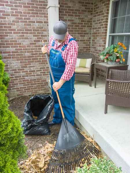 男子在家做院子里的维护 用花园的子和黑色的袋子把屋前的枯叶清理起来 — 图库照片