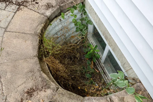 View Looking Neglected Egress Window Basement House Tangle Weeds Dirt — Stock Photo, Image