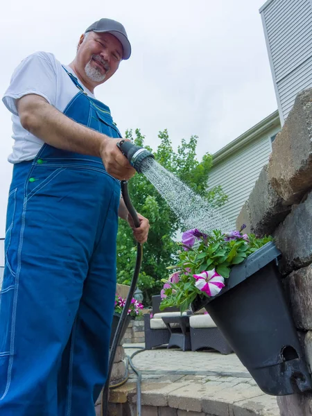 Glücklicher Hausbesitzer Der Seine Zierpetunien Einem Hängenden Blumentopf Seiner Terrassenwand — Stockfoto