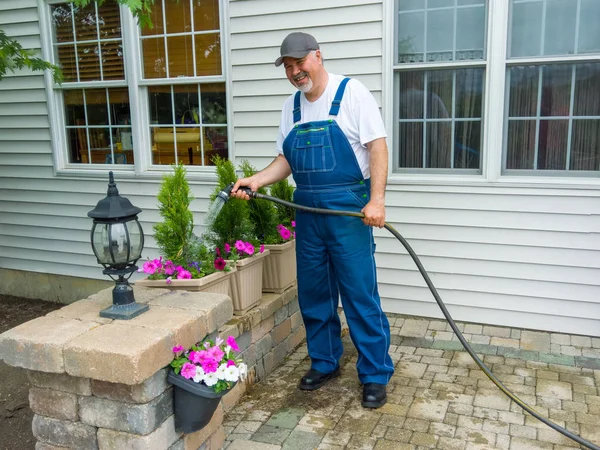 Man Watering Newly Planted Arborvitaes Thuja Petunias Decorative Pots His — Stock Photo, Image
