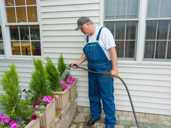 Man Water Freshly Planted Arborvitaes Petunias Ornamental Flowerpots His Patio — Stock Photo, Image