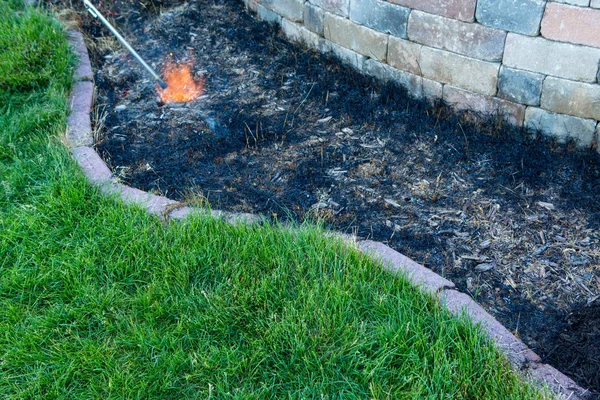 Gardener Using Torch Burn Unwanted Grass Weeds Flowerbed Alongside Wall — Stock Photo, Image