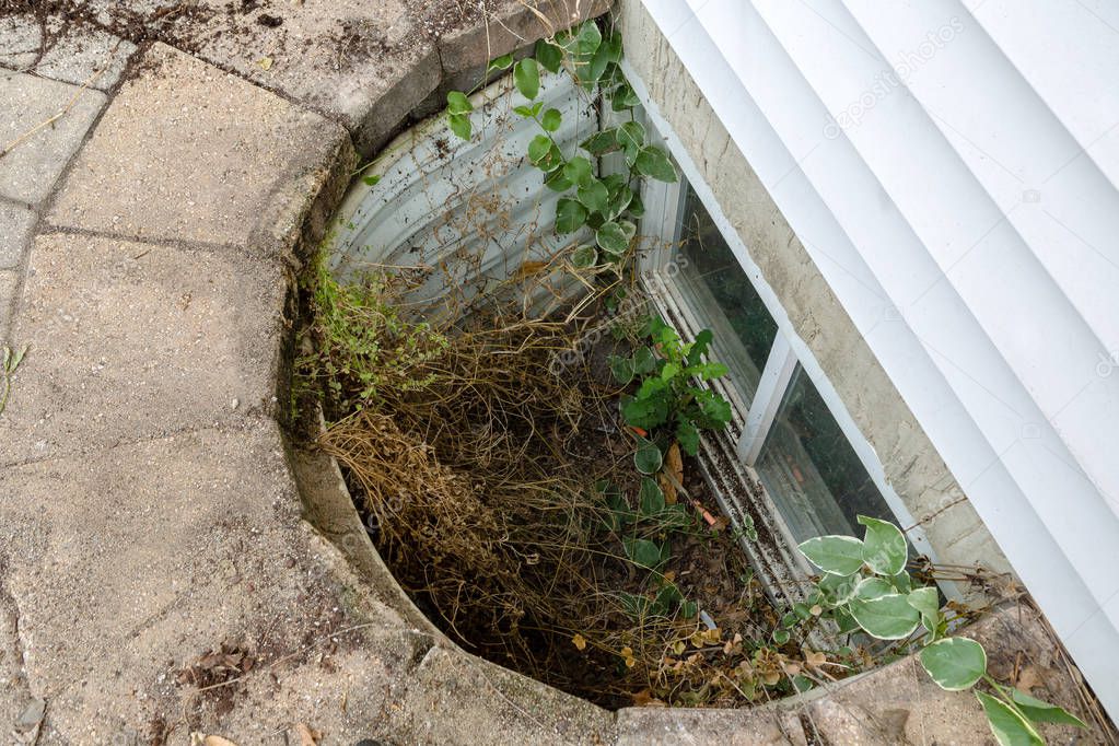 View looking down into a neglected egress window on the basement of a house with a tangle of weeds and dirt needing clearing