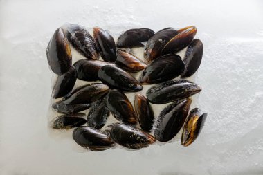 Ezilmiş buz yukarıdan düz bir yatıyordu olarak bir yatak üzerinde merkezi için düzenlenmiş kendi kabuklarında deniz midye yığını taze pişmiş