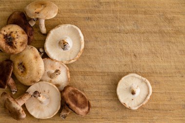 Kara Orman shitake mantarlar kopya alanı ve solungaçları ve mantarlar tepesine bir görünüm ile ahşap bir masa üzerinde yukarıdan izlendi taze hasat sonbahar yığını