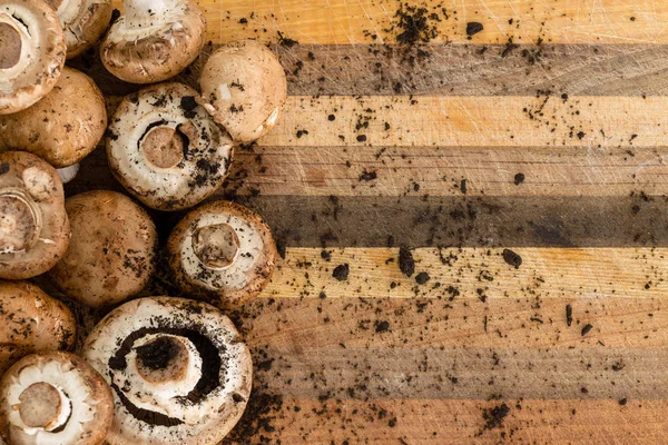 Blick Von Oben Auf Köstliche Kleine Schmutzbedeckte Pilze Auf Zerkratztem — Stockfoto