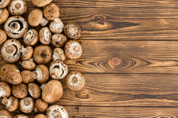 Vários Pequenos Cogumelos Crus Não Lavados Comestíveis Sentados Cima Fundo — Fotografia de Stock