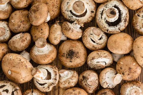 Von Oben Nahaufnahme Frisch Geernteter Pilze Auf Einem Rustikalen Holztisch — Stockfoto