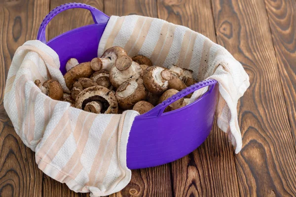 Purple Plastic Bowl Filled Fresh Washed Raw Baby Bella Mushrooms — Stock Photo, Image