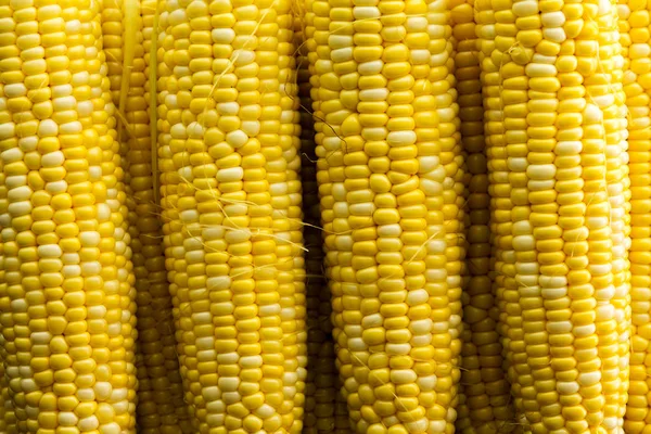 Close Background Made Completely Out Bright Delicious Yellow Corn Includes — Stock Photo, Image