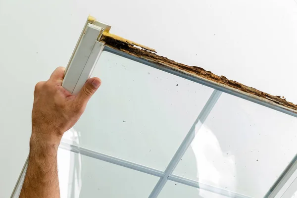 Hombre Mostrando Una Ventana Dañada Por Podredumbre Húmeda Marco Madera —  Fotos de Stock