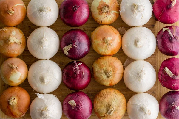 Neat Alternating Rows Different Colored Onions Full Frame Food Background — Stock Photo, Image